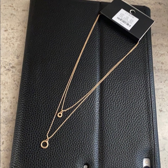 LAST ONE: J. Crew circle layering necklace. - Picture 7 of 9